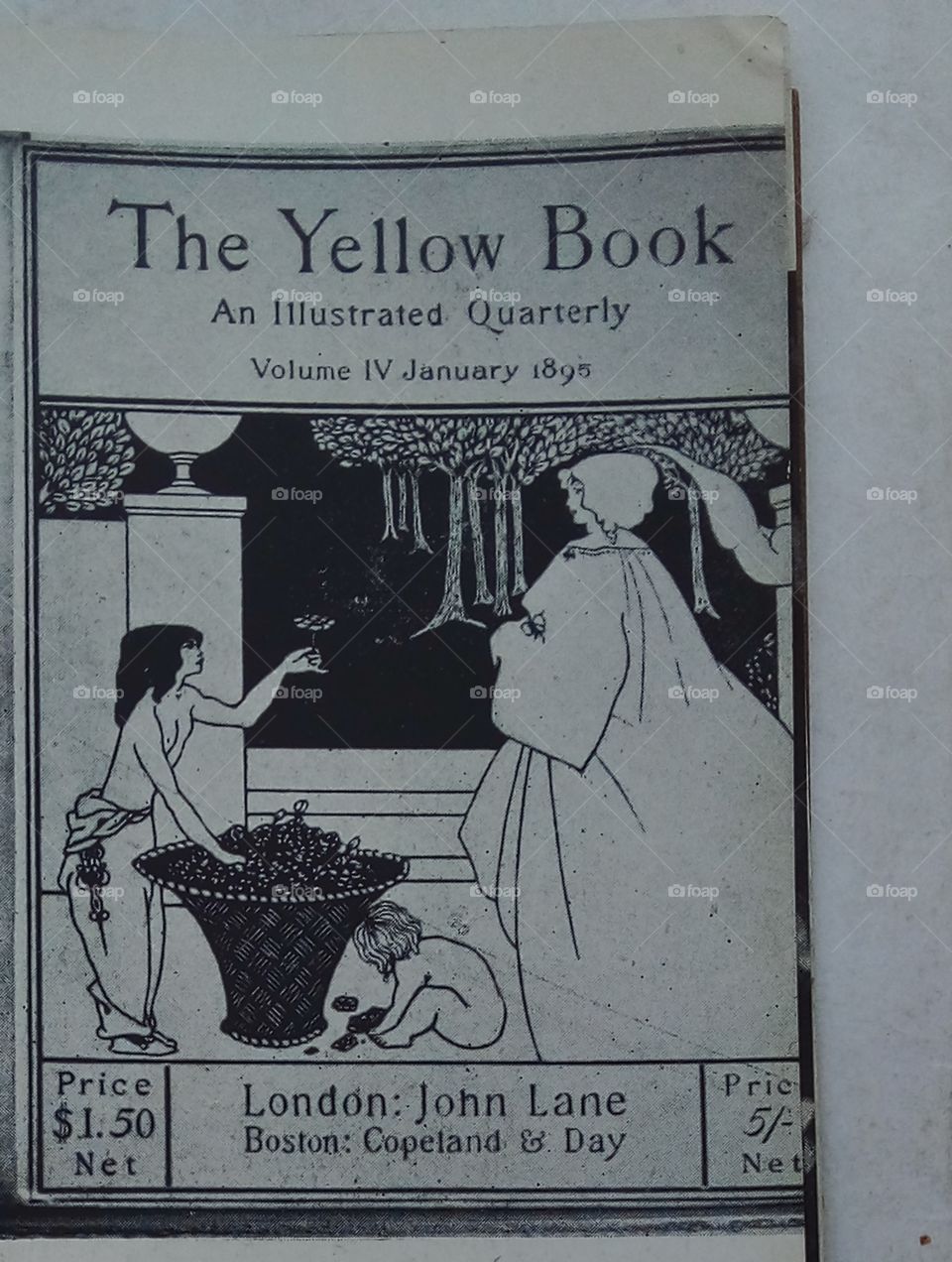 the yellow book