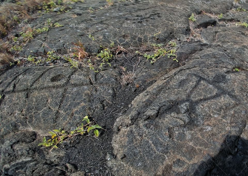 Petroglyphs