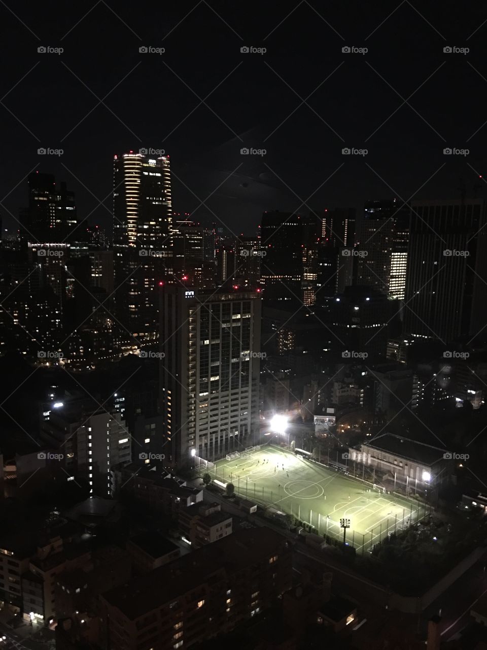 Skyscrapers of Tokyo at night. View from Tokyo Tower:)