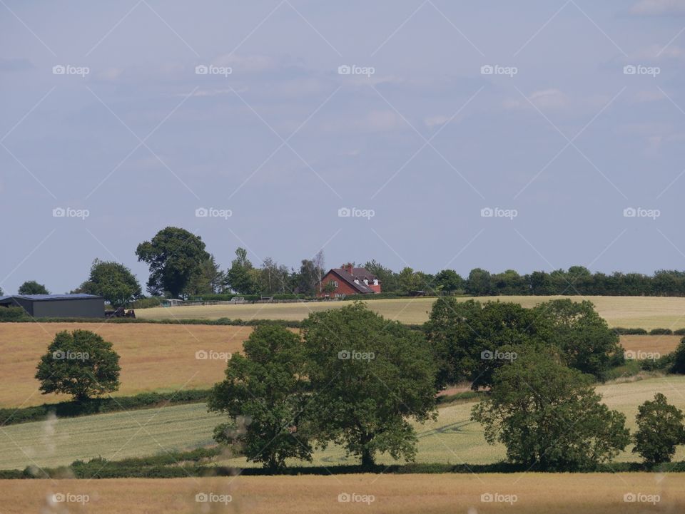 Farm. Crops England 