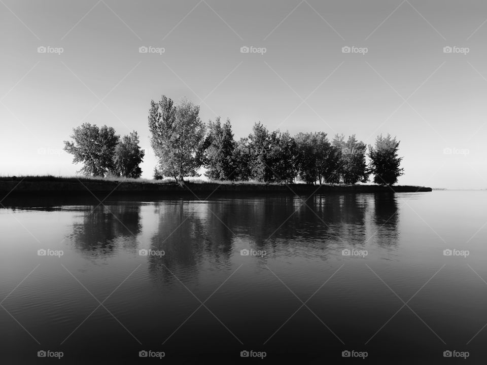 Trees along break wall