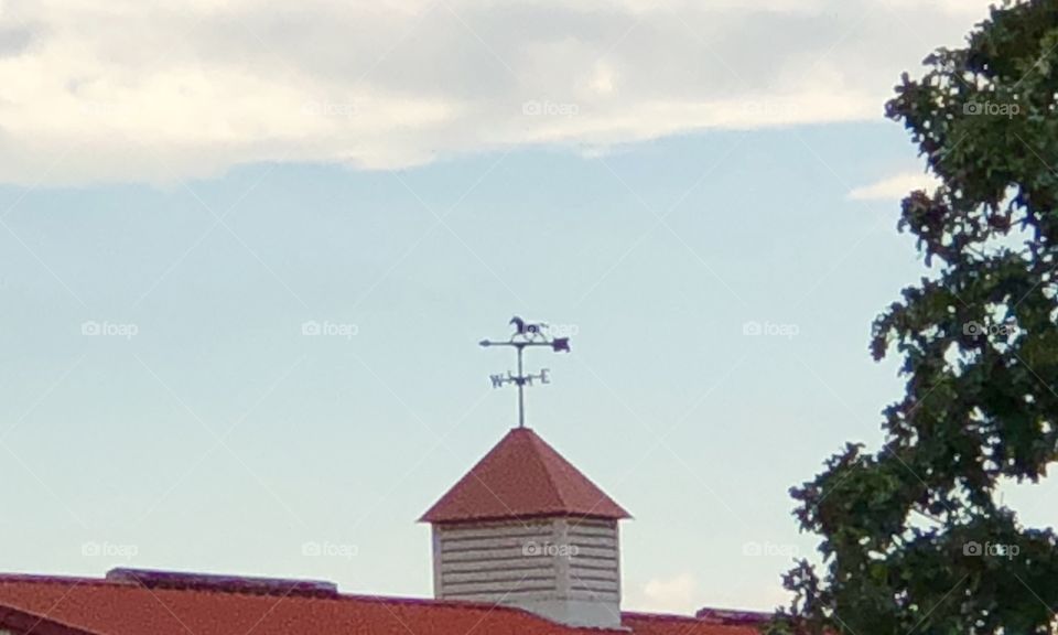 Barn Rooftop Weather Vein Against A Pale Blue Sky, weather vein, rooftop, roof, barn, sky, tree