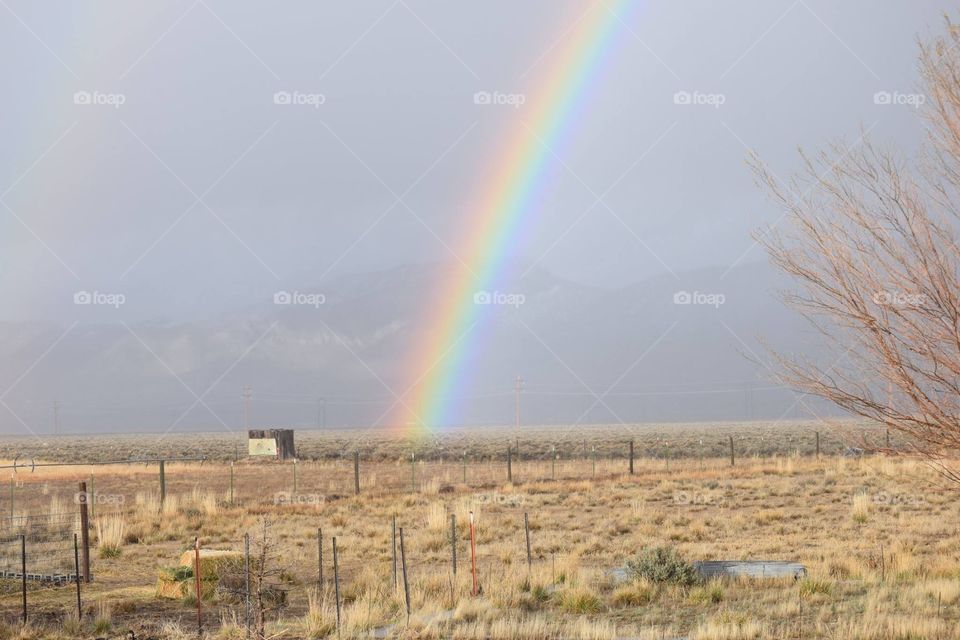 Rainbow in the country side of Nevada