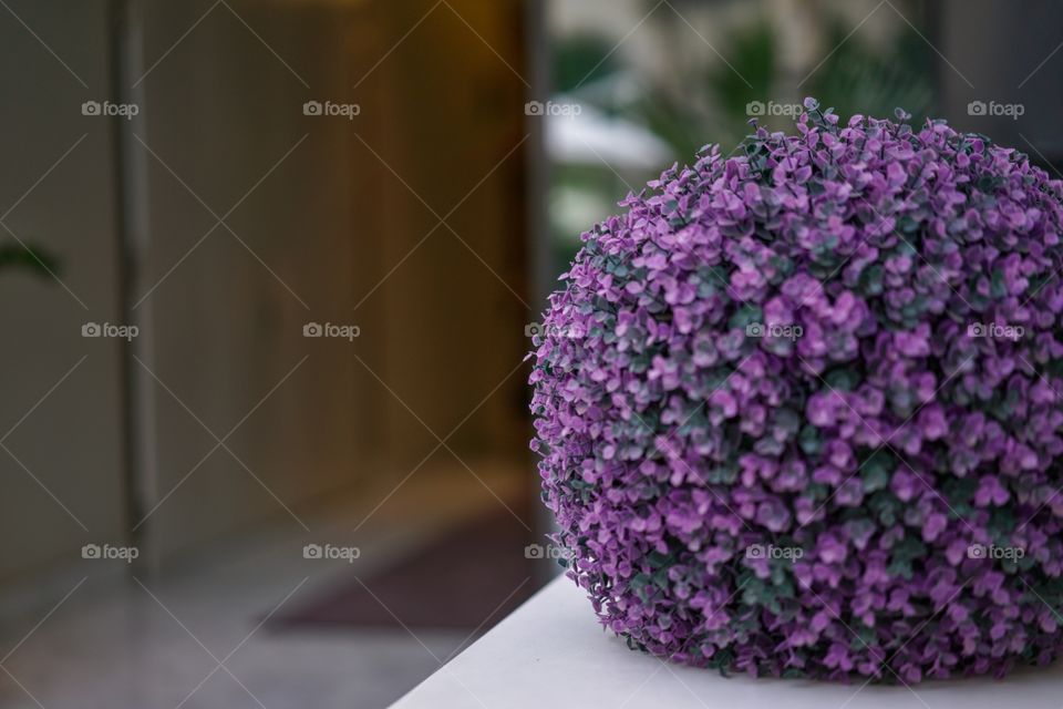 Purple ball