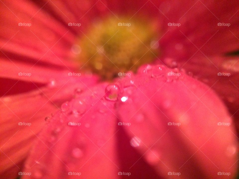 Droplets 