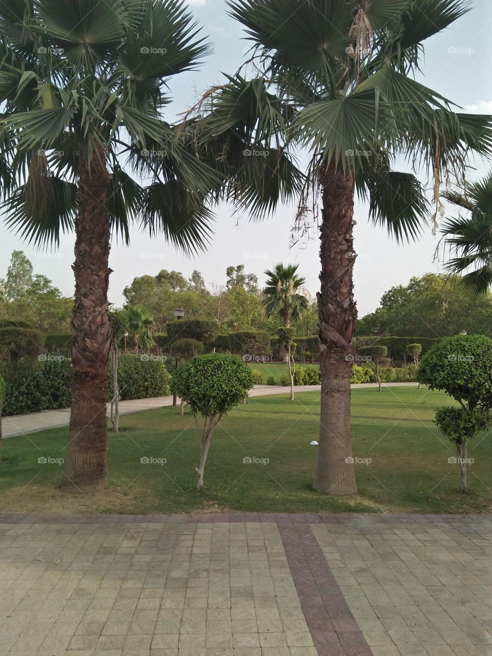 Jindal Park