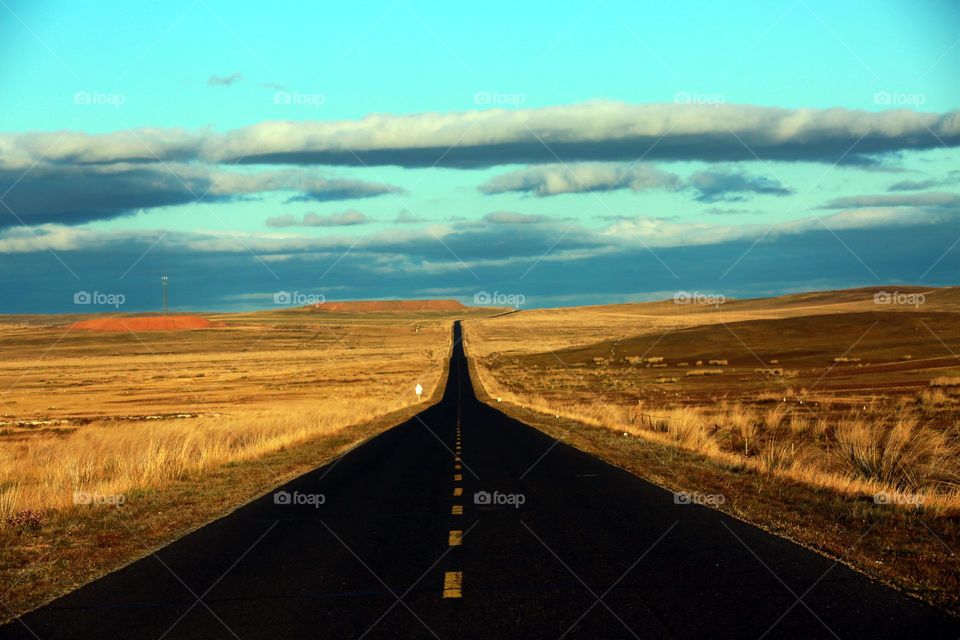 On the road, golden grass ground and beautiful blue sky 