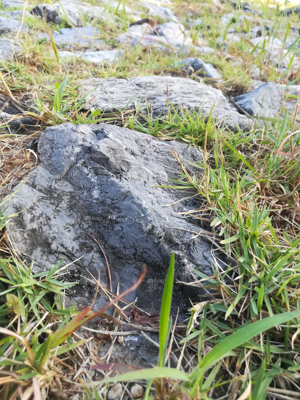 stone with grass