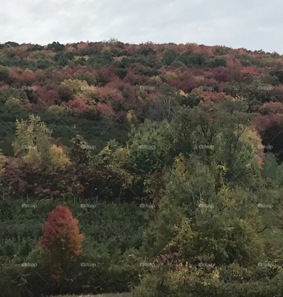 Mountain side