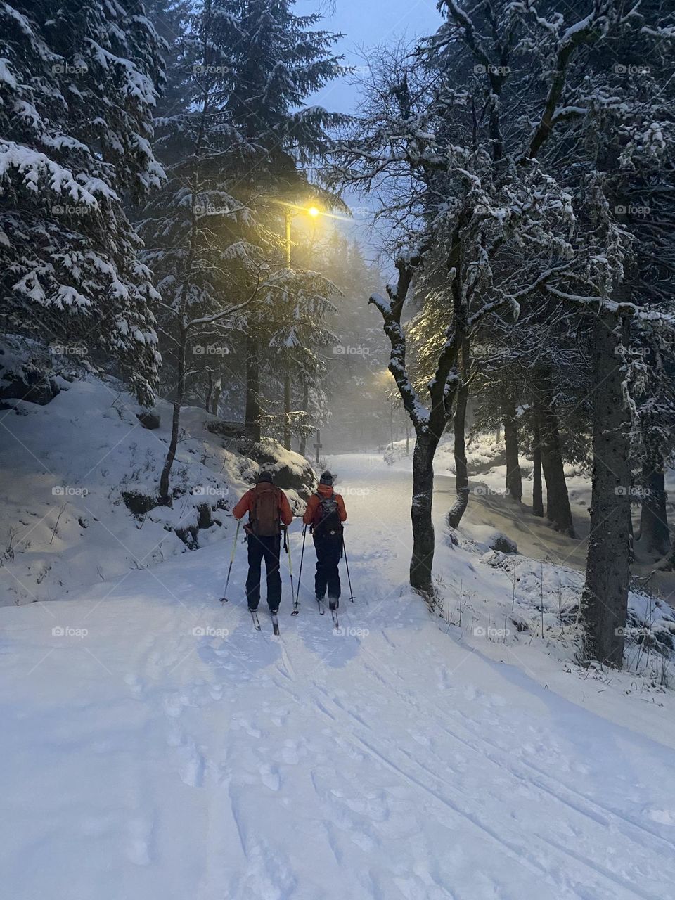 A Nordic walk in the park 