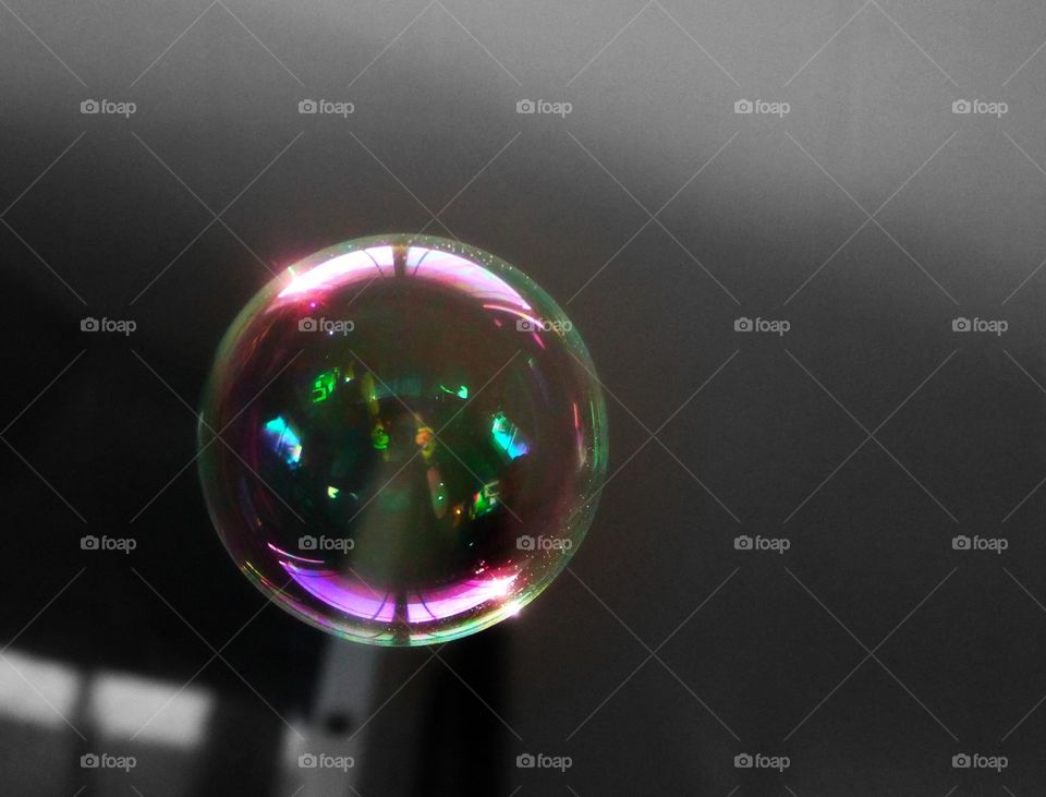 Close-up of bubble