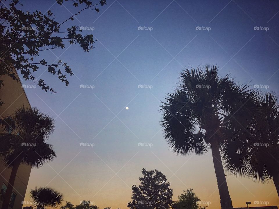 Cell phones are not the greatest for moon capturing, but it sure is capable of sky shots! 