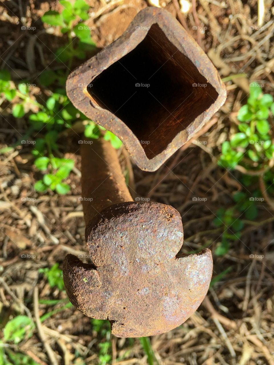 Rusted old iron pipe and stake poking out of ground 