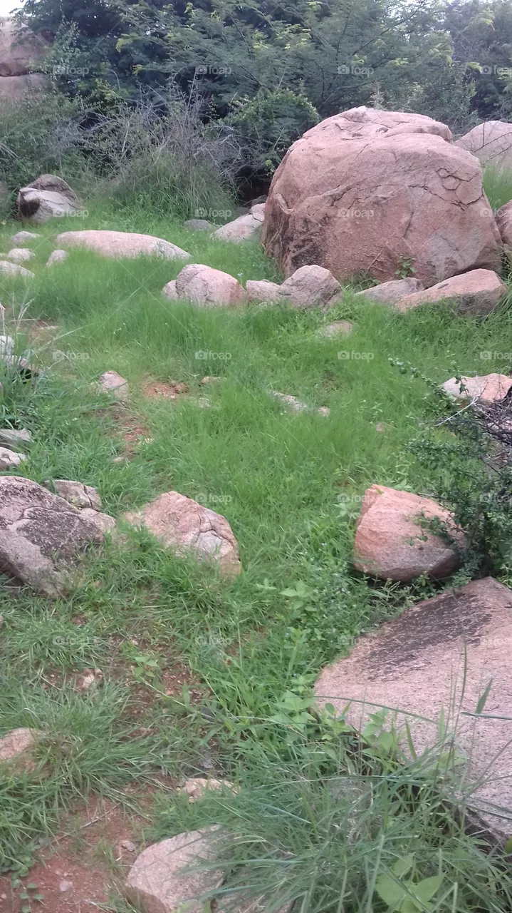 greenary
