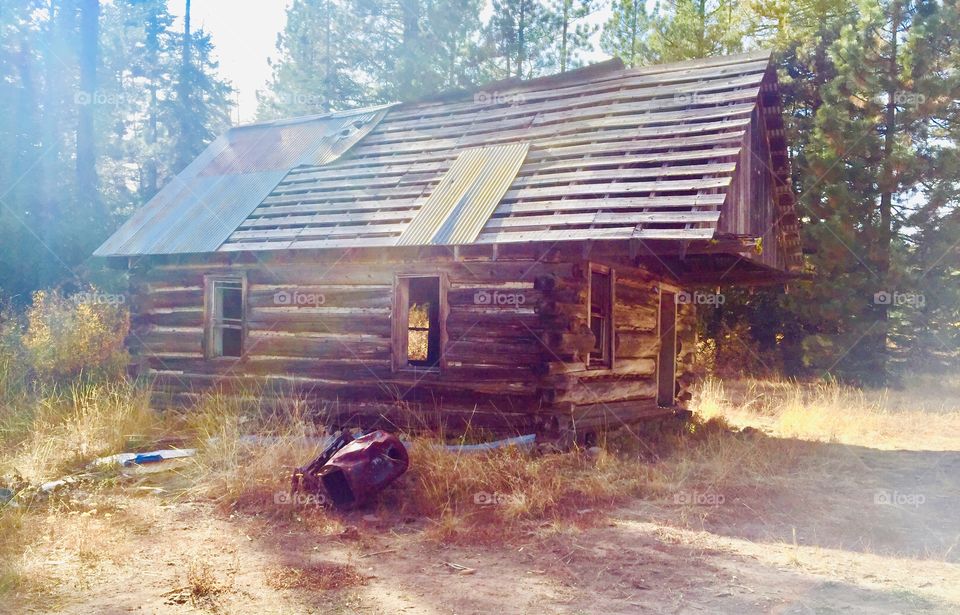 Abandoned cabin