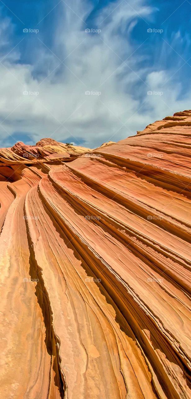 Incredible landscape on desert.