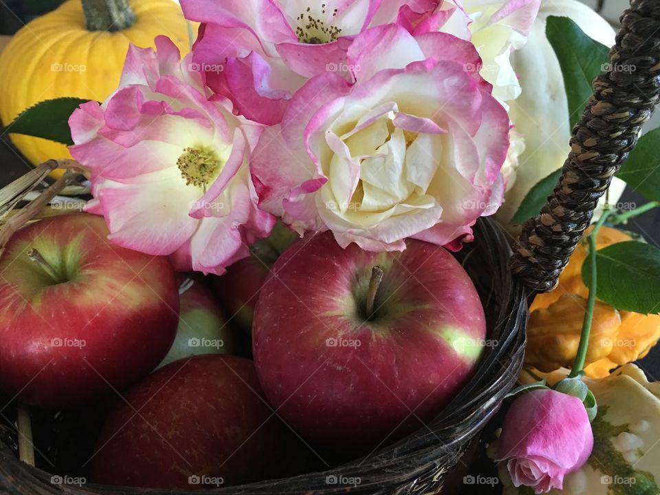 Beautiful gift basket of fresh autumn apples and pink and white roses on fall kitchen table with pumpkins and gourds closeup holiday centerpiece ideas photography 