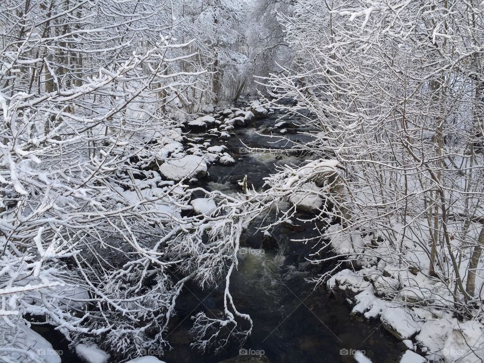 View of a stream