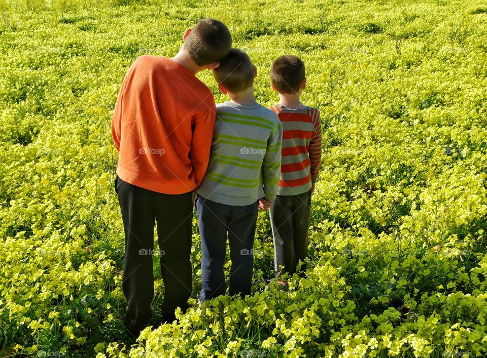 Three Young Brothers
