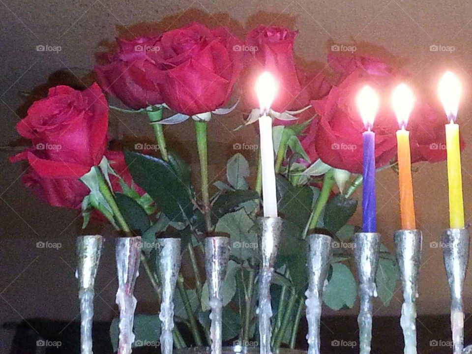 Menorah and roses for Hanukkah.
