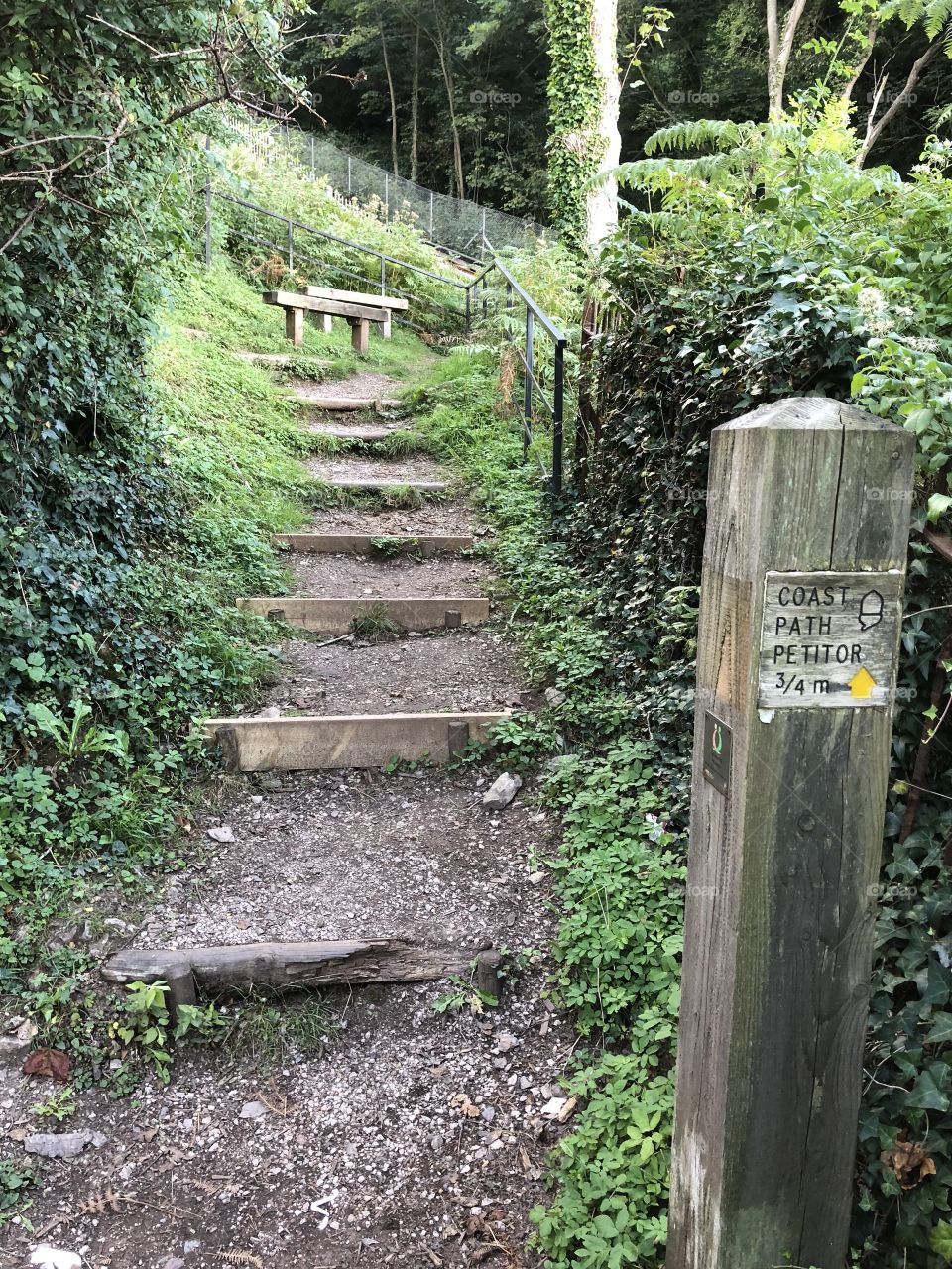 One of the many glorious walkways to be found at Babbacombe Cliffs in Torbay, UK