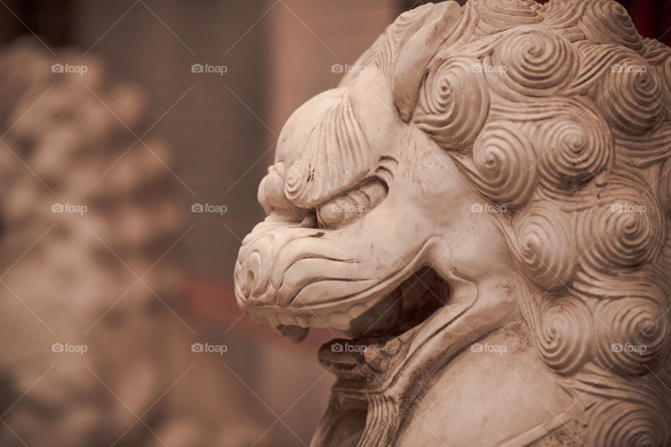Stone lion is a typical Chinese sculpture subject as a symbol of house