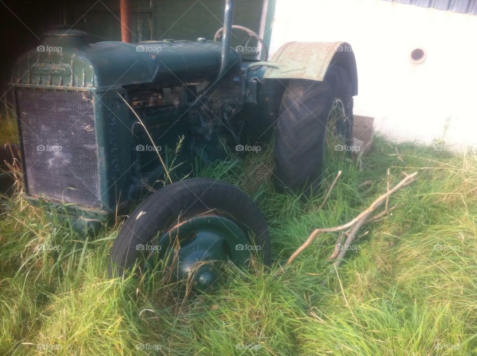 Old Fordson tractor 