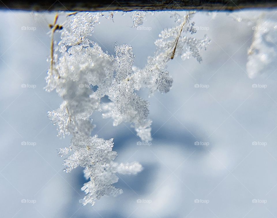 Beautiful rime ice!! 