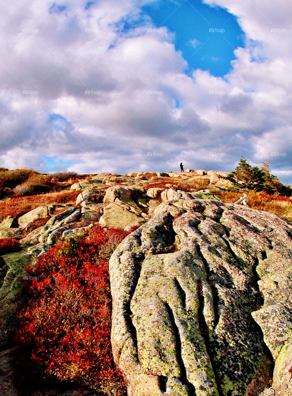 Colors sky high - Autumn leaf color is a phenomenon that affects the normal green leaves of many deciduous trees and shrubs by which they take on, during a few weeks in the autumn season