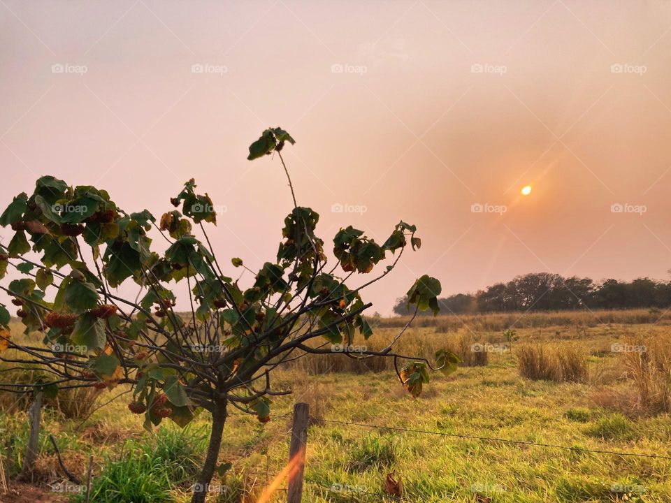 Assim estava o céu de manhã. Que sol diferente tem sido esse?
Cuidemos da natureza…
📸
#FOTOGRAFIAéNOSSOhobby
#amanhecer #morning #sol #sun #sky #céu #natureza #horizonte #fotografia #paisagem #landscapes #inspiração #mobgrafia #XôStress #Jundiaí 