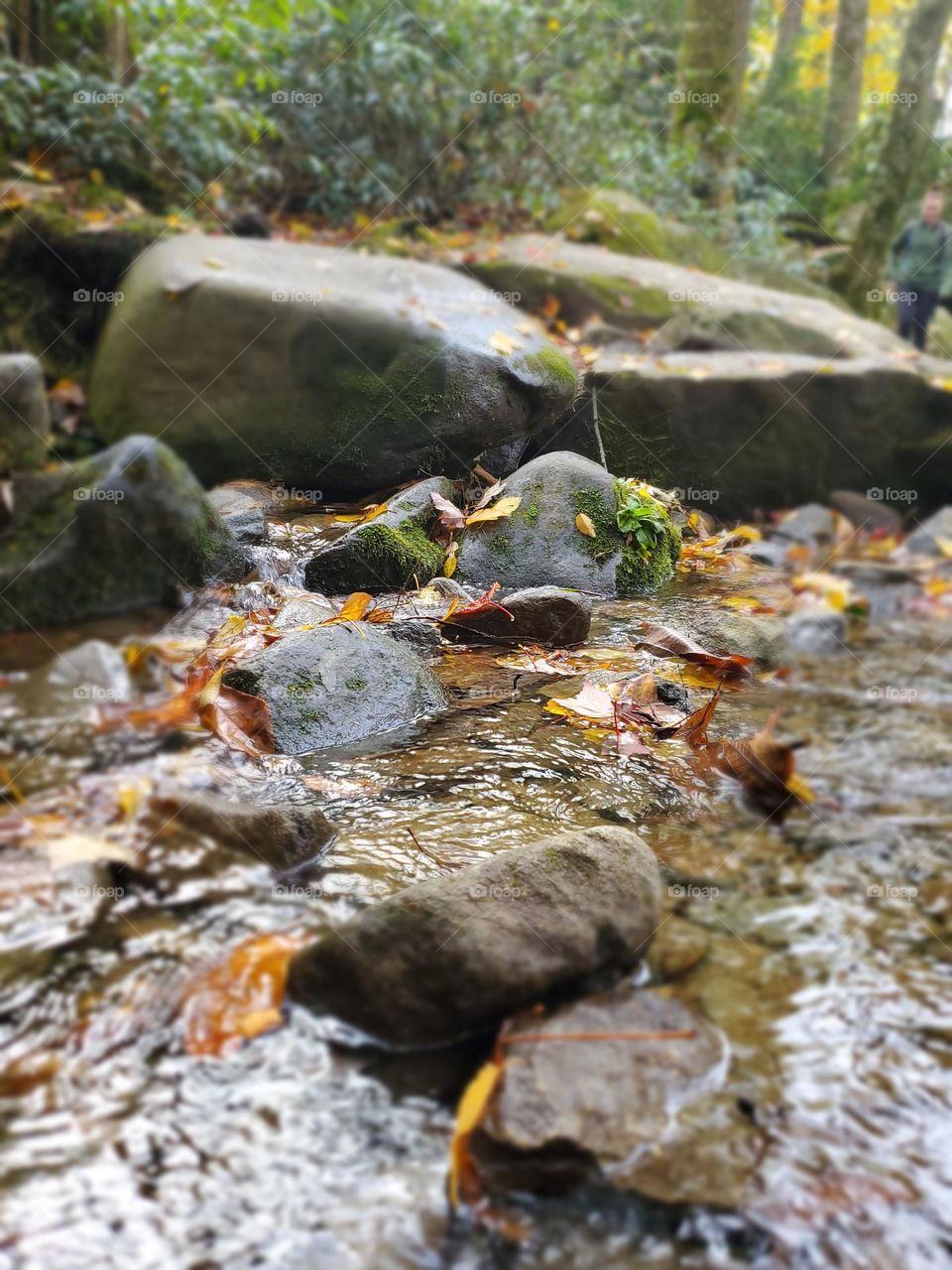 close-up view of the creek