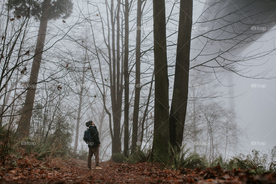 Lost into the foggy forest