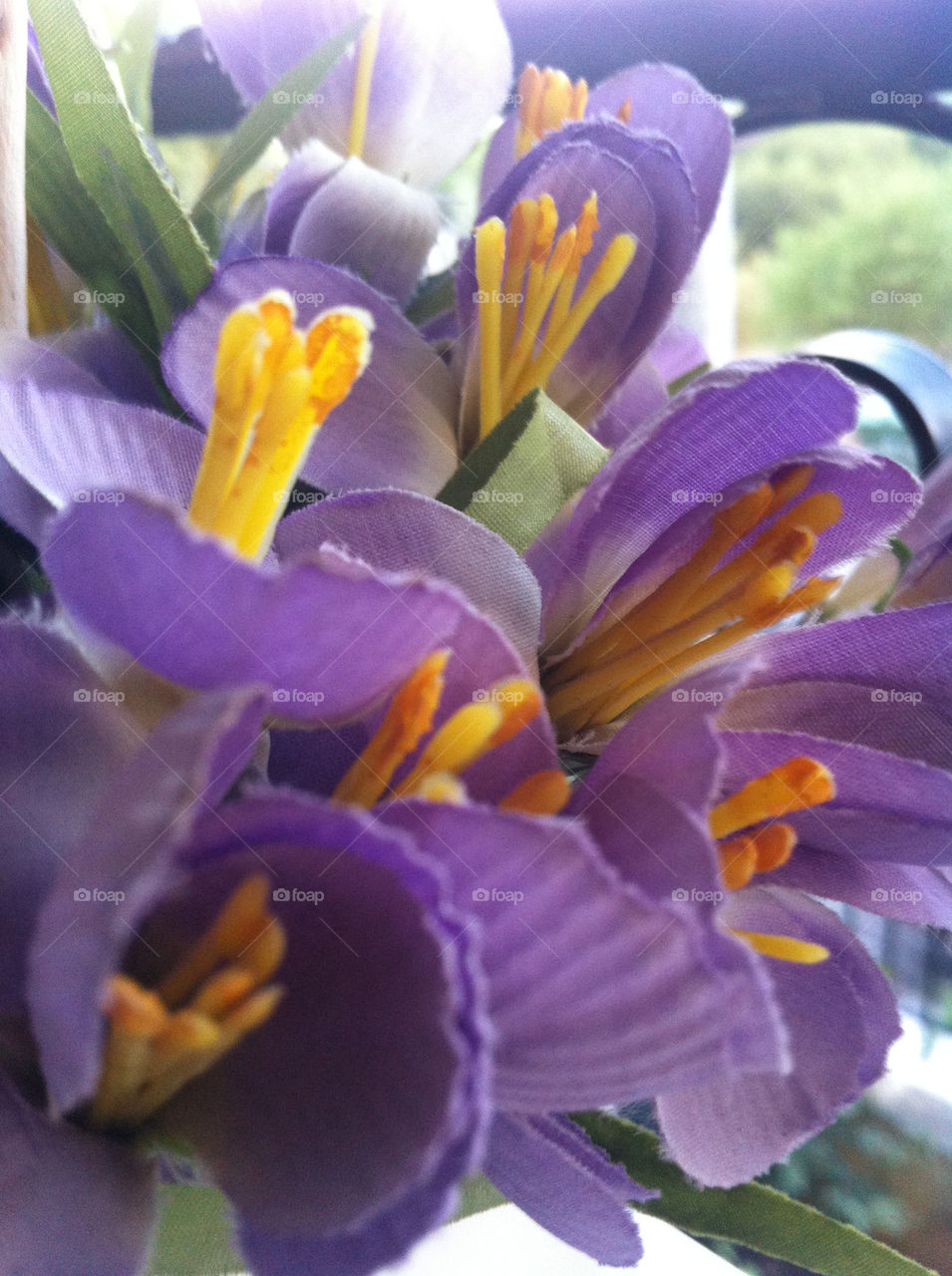 flowers purple by politisv