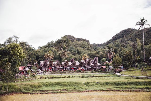 Indonesian Buildings Located in the Trees
