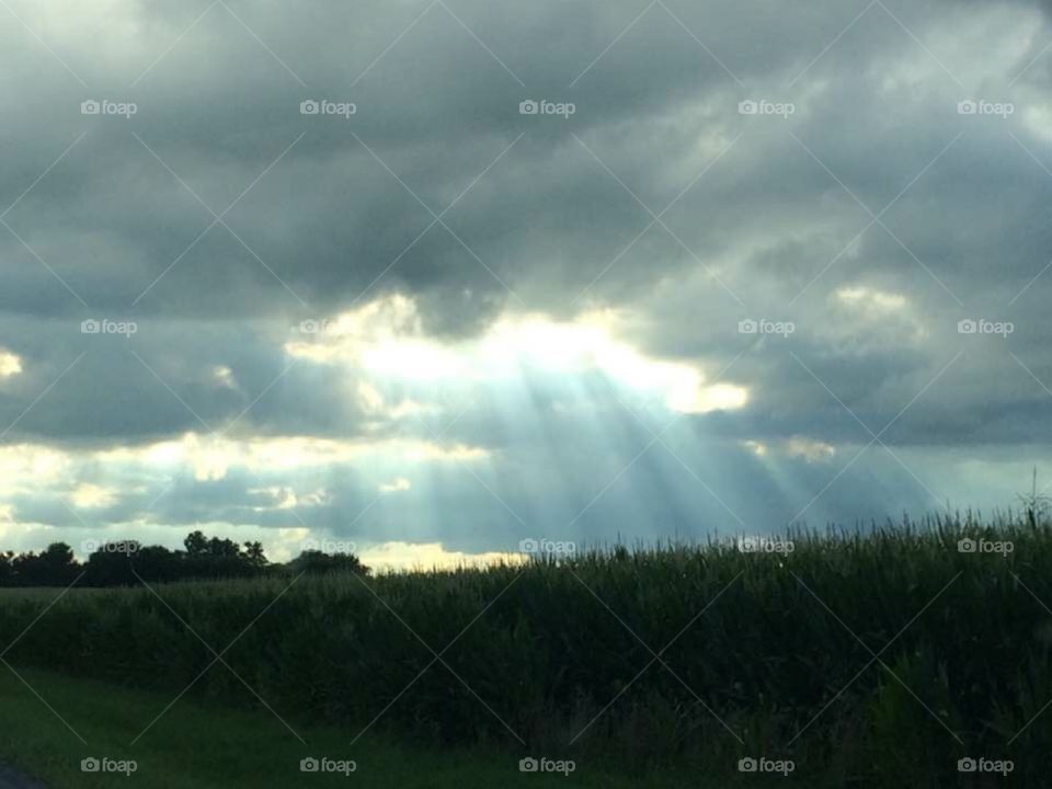 Rays of light