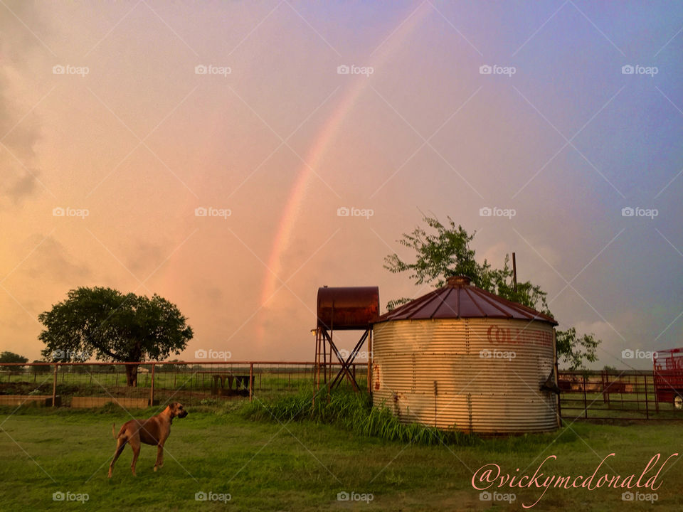 No Person, Agriculture, Outdoors, Rainbow, Farm