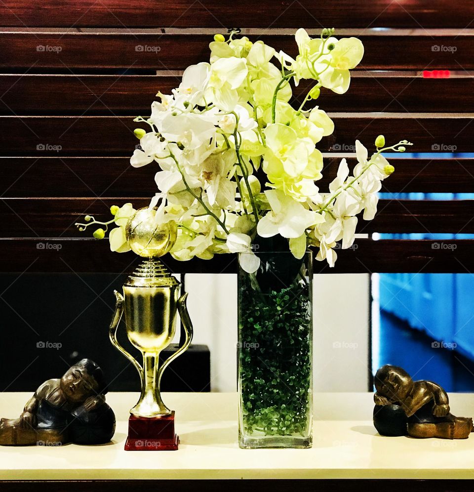 Soft, Interior nature for indoor café. 