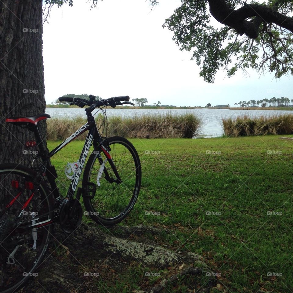 Sunday bike ride. Great bike ride at the wildlife refuge! Never gets old with all this nature around us. 