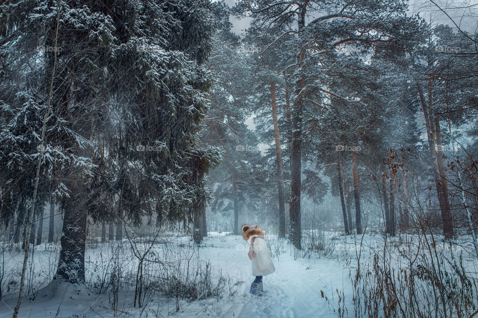 Winter forest at cloudy day. Little girl walking