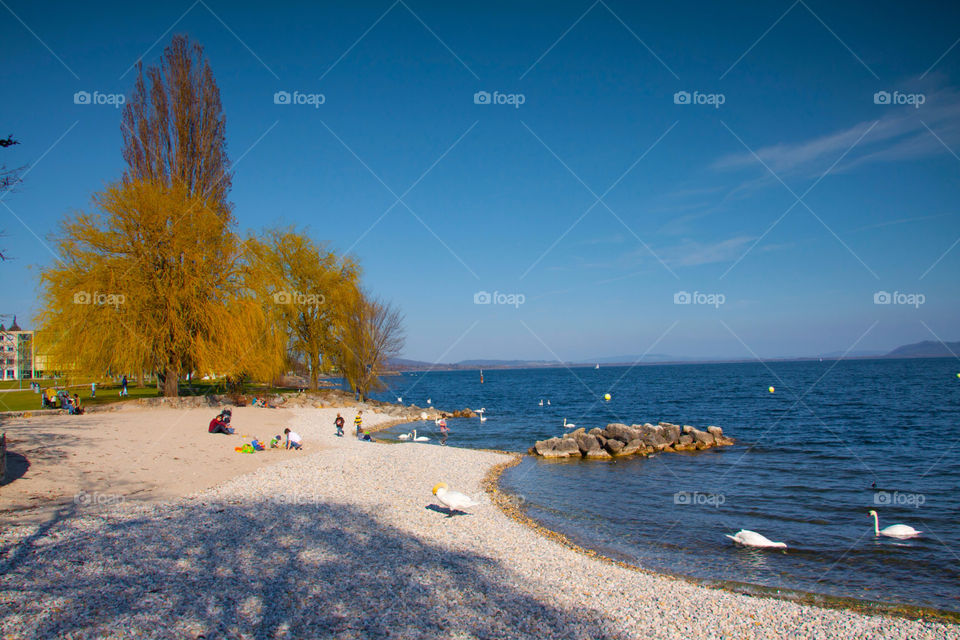 neuchatel switzerland landscape beach trees by cmosphotos