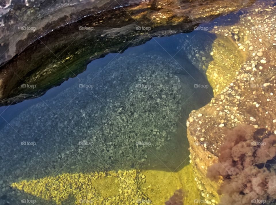 Close-up of puddle