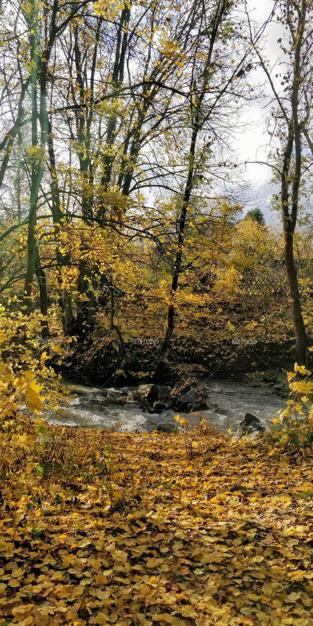 autumn time Germany