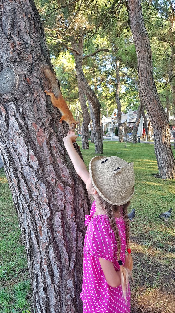 девочка кормит белочку