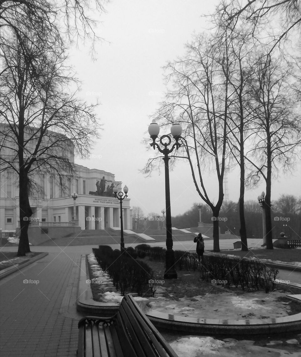 Street, No Person, People, Tree, Road