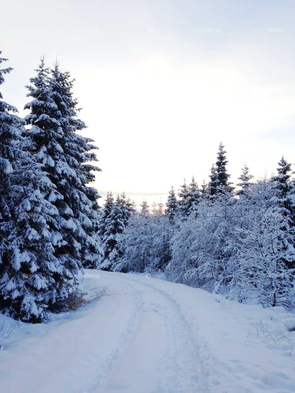 Snowy Mountains