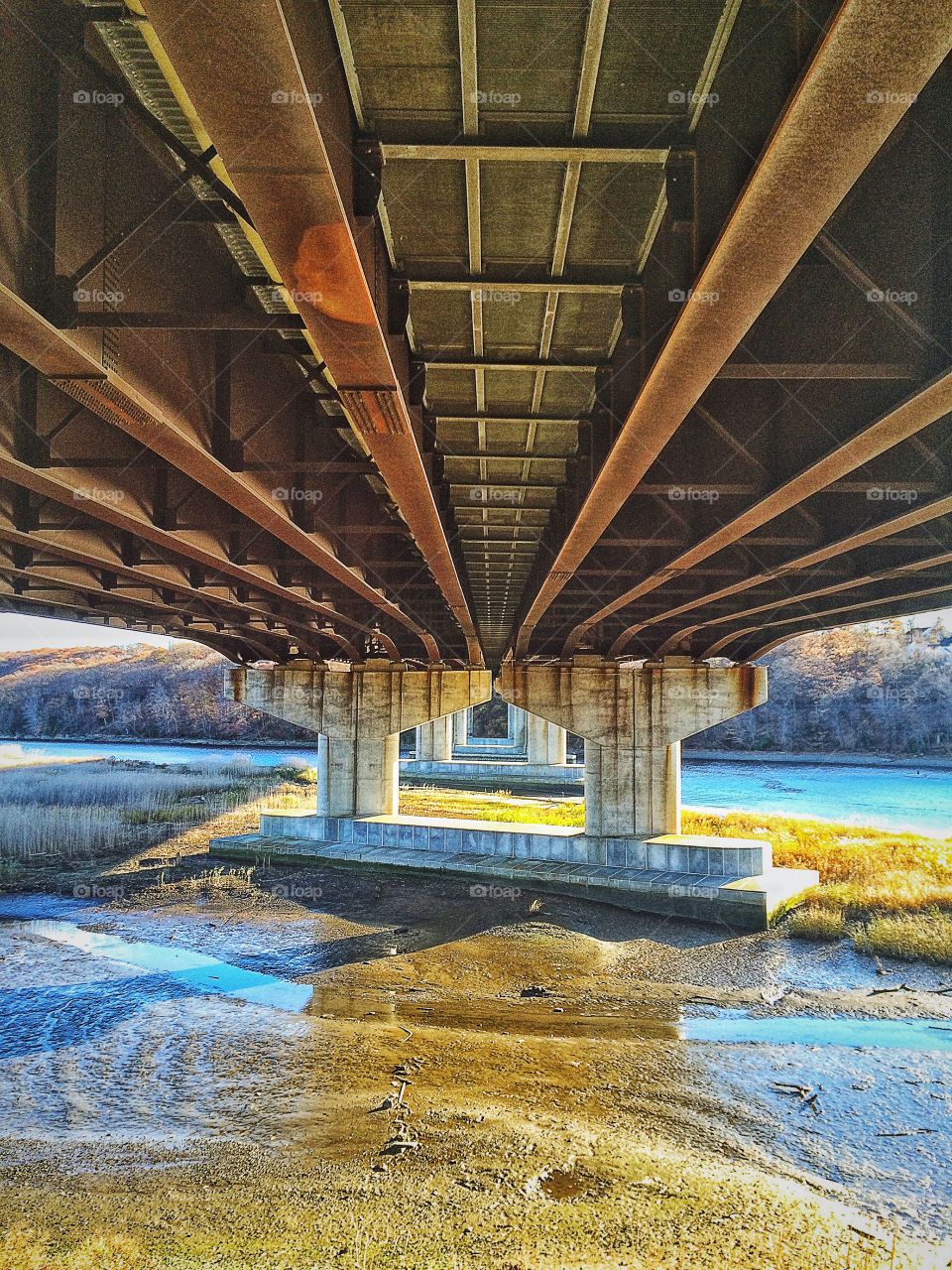 Housatonic Estuary Walk 