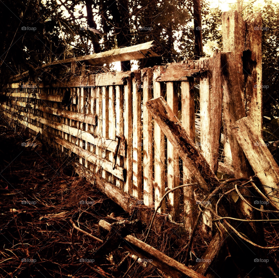 queensland australia outdoor fence farm by blinklight
