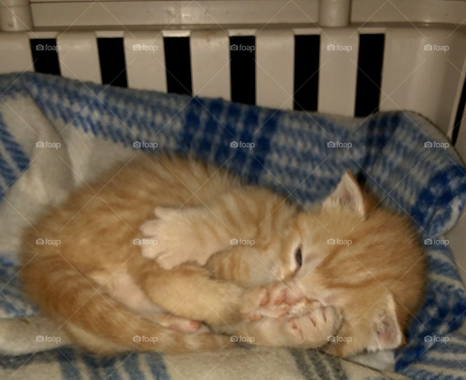 Theodore is such a sweetie!