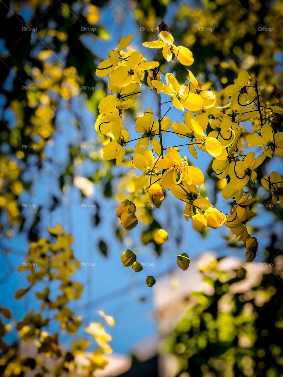 If you love nature, you will find beauty anywhere.