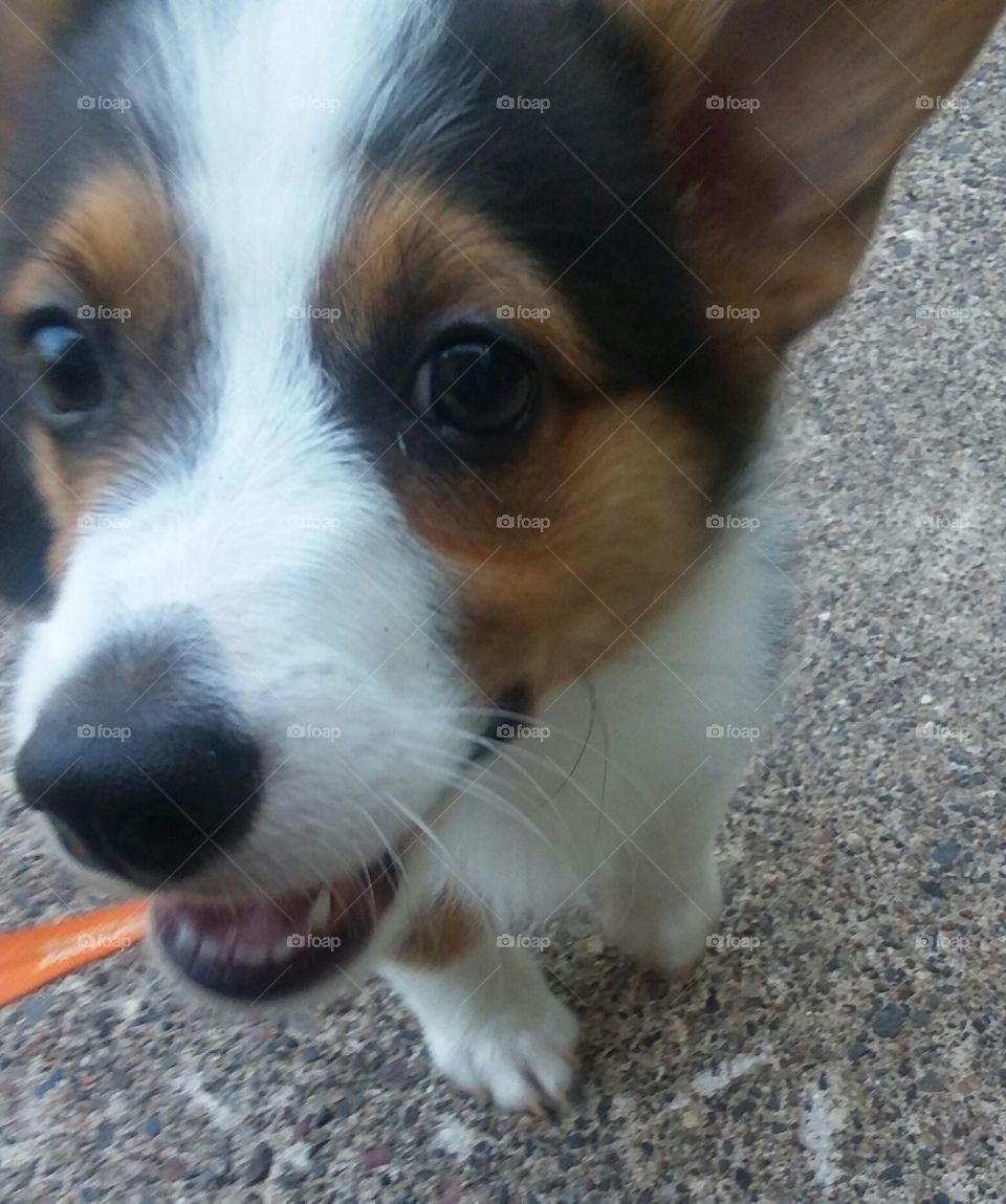 Is this my good side?